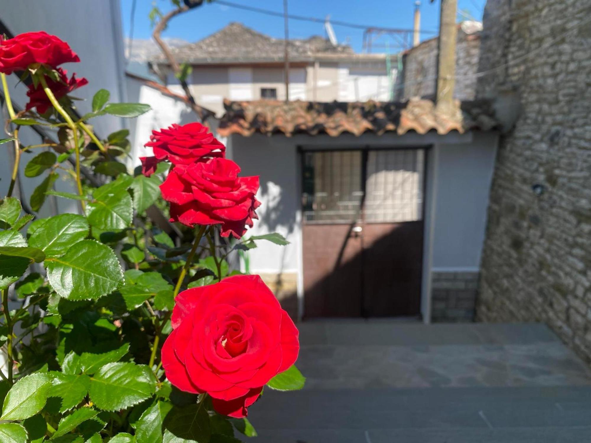 Guest House Persa Gjirokaster Bagian luar foto